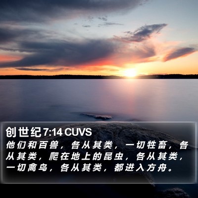 创 世 纪 7:14 CUVS Bible Verse Image