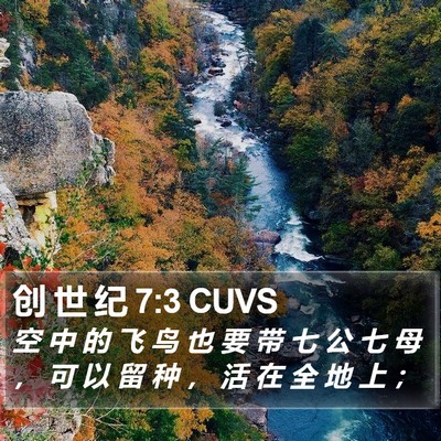 创 世 纪 7:3 CUVS Bible Verse Image