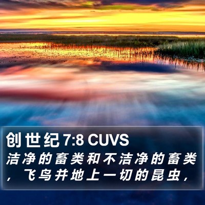 创 世 纪 7:8 CUVS Bible Verse Image