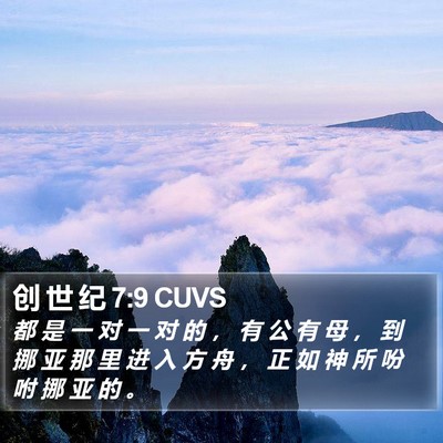 创 世 纪 7:9 CUVS Bible Verse Image