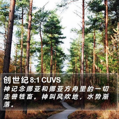 创 世 纪 8:1 CUVS Bible Verse Image