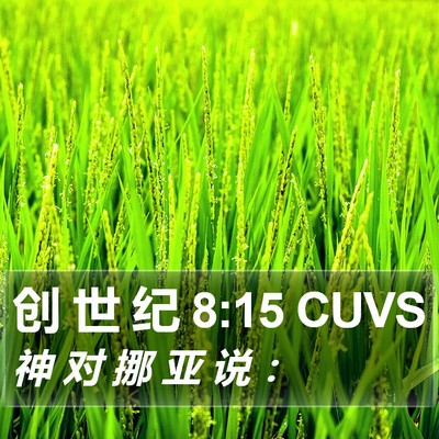 创 世 纪 8:15 CUVS Bible Verse Image