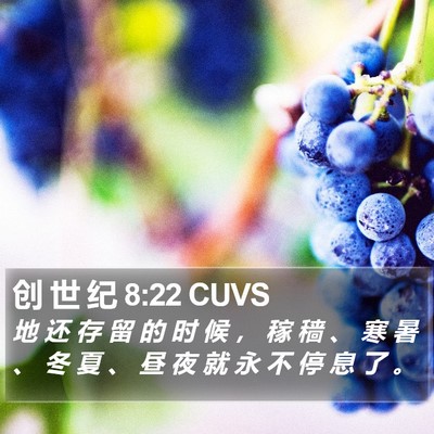 创 世 纪 8:22 CUVS Bible Verse Image