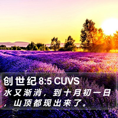 创 世 纪 8:5 CUVS Bible Verse Image