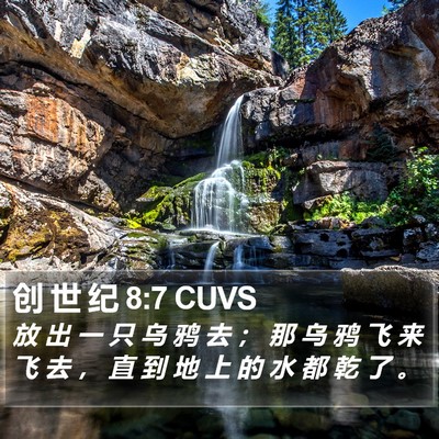 创 世 纪 8:7 CUVS Bible Verse Image