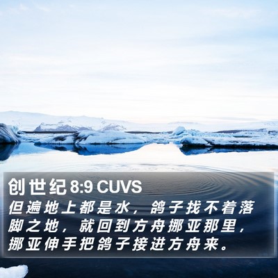 创 世 纪 8:9 CUVS Bible Verse Image