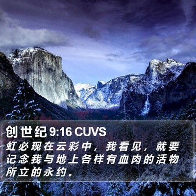 创 世 纪 9:16 CUVS Bible Verse Image