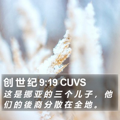 创 世 纪 9:19 CUVS Bible Verse Image