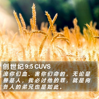 创 世 纪 9:5 CUVS Bible Verse Image