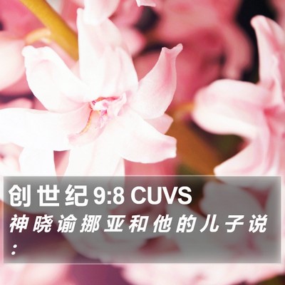 创 世 纪 9:8 CUVS Bible Verse Image