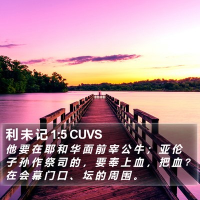 利 未 记 1:5 CUVS Bible Verse Image