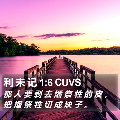 利 未 记 1:6 CUVS Bible Verse Image
