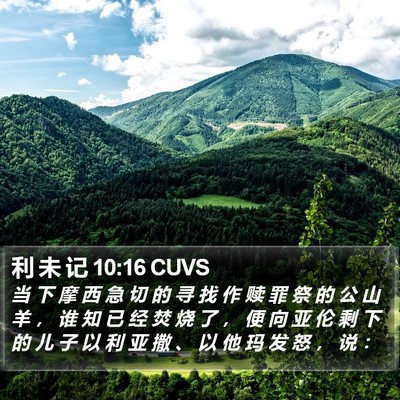 利 未 记 10:16 CUVS Bible Verse Image