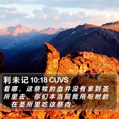 利 未 记 10:18 CUVS Bible Verse Image