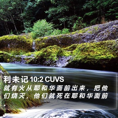 利 未 记 10:2 CUVS Bible Verse Image