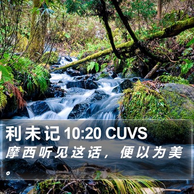 利 未 记 10:20 CUVS Bible Verse Image