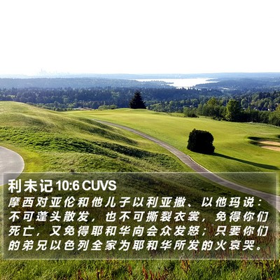 利 未 记 10:6 CUVS Bible Verse Image