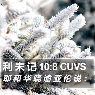 利 未 记 10:8 CUVS Bible Verse Image