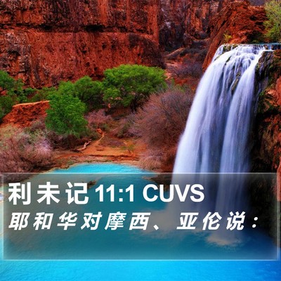 利 未 记 11:1 CUVS Bible Verse Image