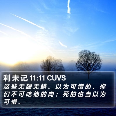 利 未 记 11:11 CUVS Bible Verse Image