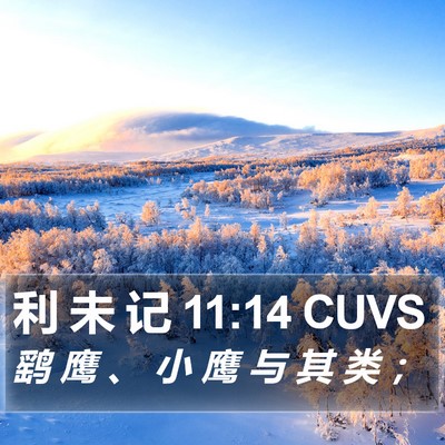 利 未 记 11:14 CUVS Bible Verse Image