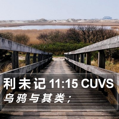 利 未 记 11:15 CUVS Bible Verse Image