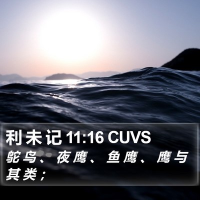 利 未 记 11:16 CUVS Bible Verse Image