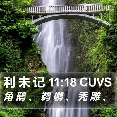 利 未 记 11:18 CUVS Bible Verse Image