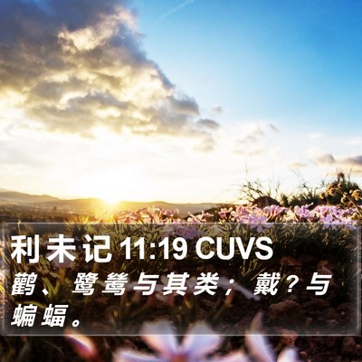 利 未 记 11:19 CUVS Bible Verse Image