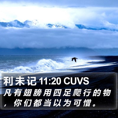 利 未 记 11:20 CUVS Bible Verse Image