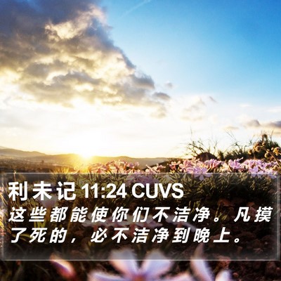 利 未 记 11:24 CUVS Bible Verse Image