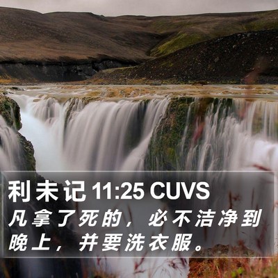 利 未 记 11:25 CUVS Bible Verse Image