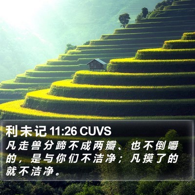 利 未 记 11:26 CUVS Bible Verse Image