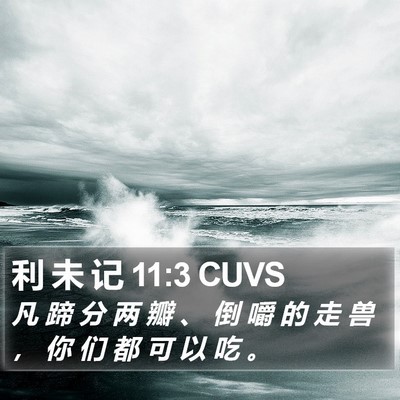 利 未 记 11:3 CUVS Bible Verse Image