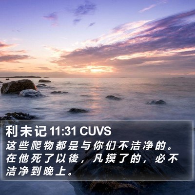 利 未 记 11:31 CUVS Bible Verse Image