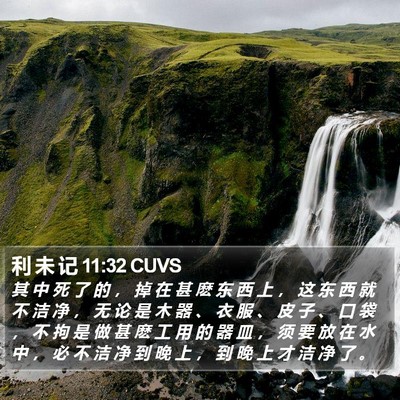 利 未 记 11:32 CUVS Bible Verse Image