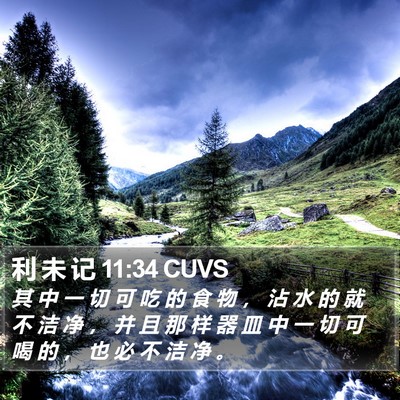 利 未 记 11:34 CUVS Bible Verse Image
