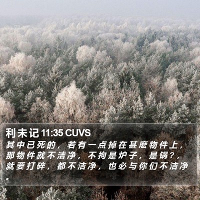 利 未 记 11:35 CUVS Bible Verse Image