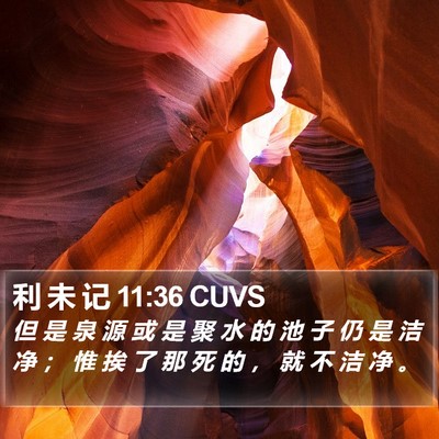 利 未 记 11:36 CUVS Bible Verse Image
