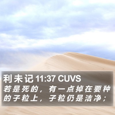 利 未 记 11:37 CUVS Bible Verse Image
