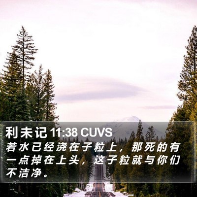 利 未 记 11:38 CUVS Bible Verse Image