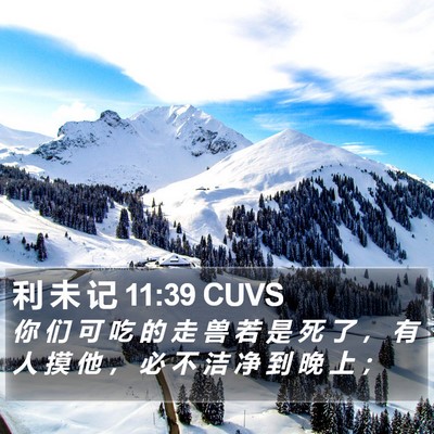 利 未 记 11:39 CUVS Bible Verse Image
