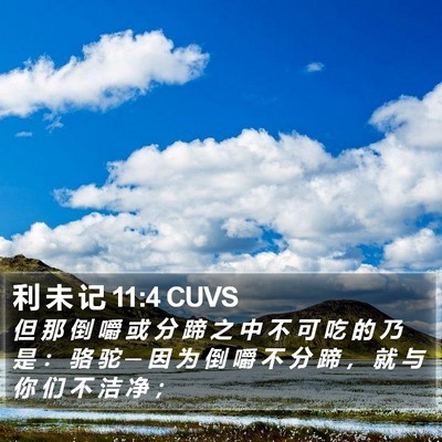 利 未 记 11:4 CUVS Bible Verse Image