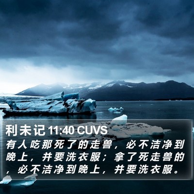 利 未 记 11:40 CUVS Bible Verse Image
