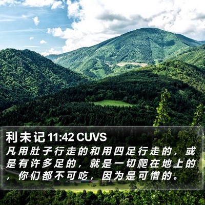 利 未 记 11:42 CUVS Bible Verse Image