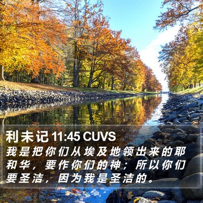 利 未 记 11:45 CUVS Bible Verse Image