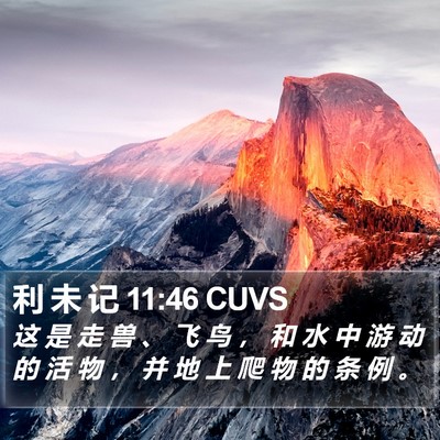 利 未 记 11:46 CUVS Bible Verse Image