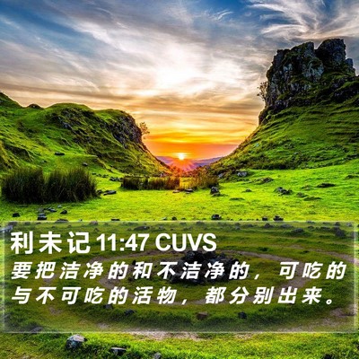 利 未 记 11:47 CUVS Bible Verse Image