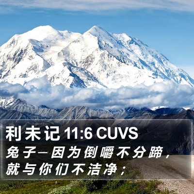 利 未 记 11:6 CUVS Bible Verse Image