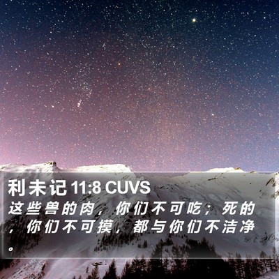 利 未 记 11:8 CUVS Bible Verse Image